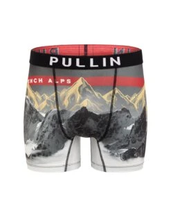 Boxer Pull In Fashion 2 Goldpics