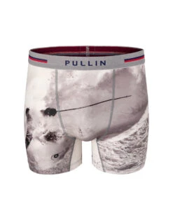 Boxer Pull-in Fashion 2 Redpowder
