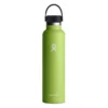 Gourde Hydro Flask 24 OZ STANDARD FLEX CAP SEAGRASS