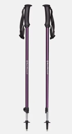 Paire Baton Black Diamond Trail Explorer 2 Mulberry