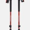 Paire De Baton Black Diamond Trail Trekking Picante