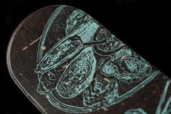 Ski Volkl Revolt 86 Temple + Fixation -Quick SnowBoard Magasin ski volkl revolt 86 temple 3 1